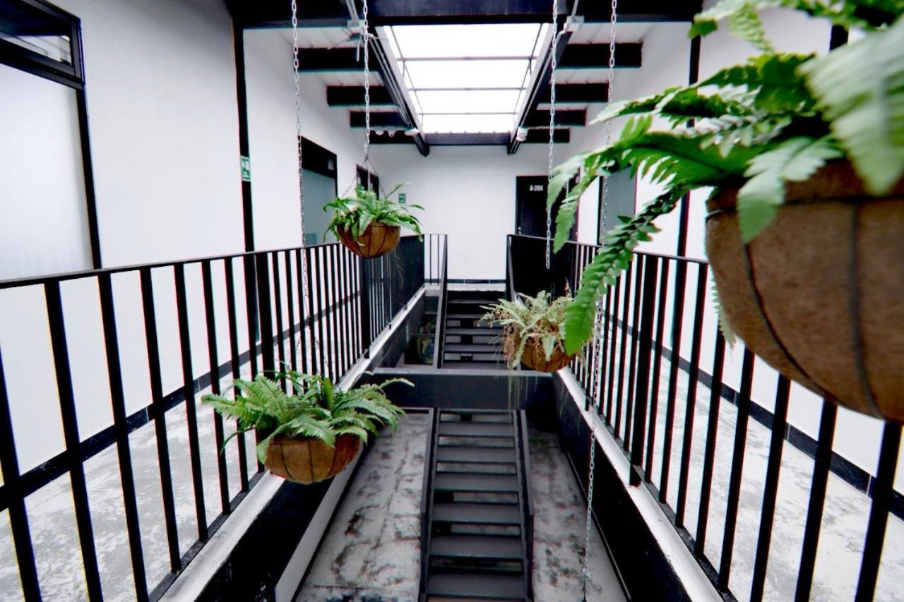 Hotel Casa Malibu 麦德林 外观 照片